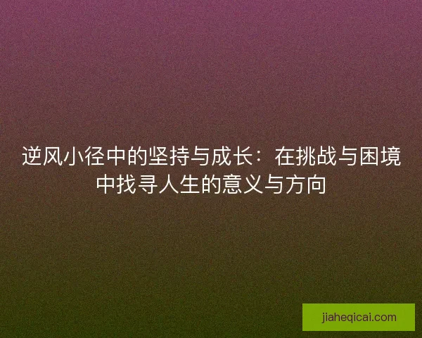 逆风小径中的坚持与成长：在挑战与困境中找寻人生的意义与方向