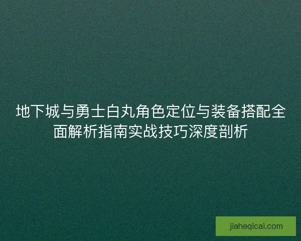 地下城与勇士白丸角色定位与装备搭配全面解析指南实战技巧深度剖析